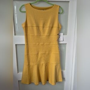NWT Enfocus Petite Size 10 Dress